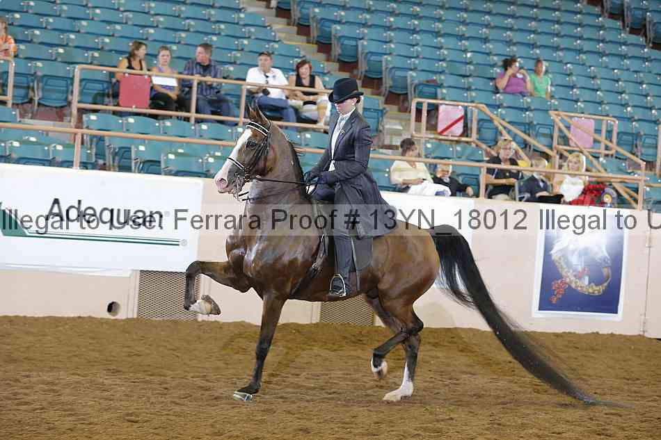 Proof 13yn_18012