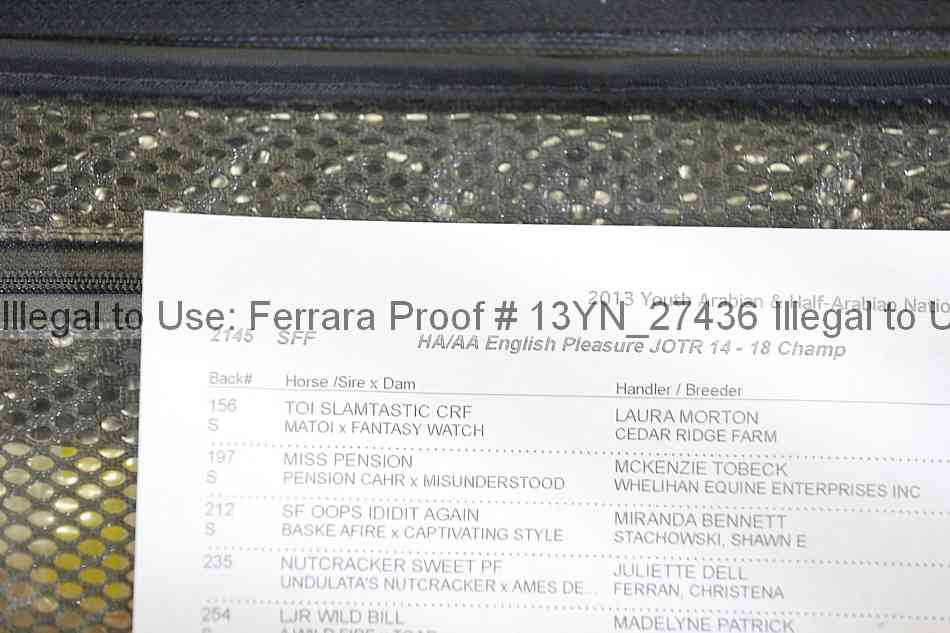 Proof 13yn_27436