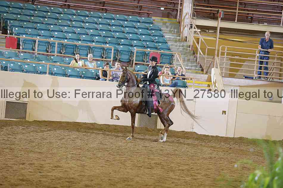 Proof 13yn_27580