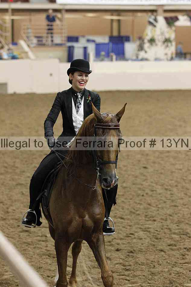 Proof 13yn_27587