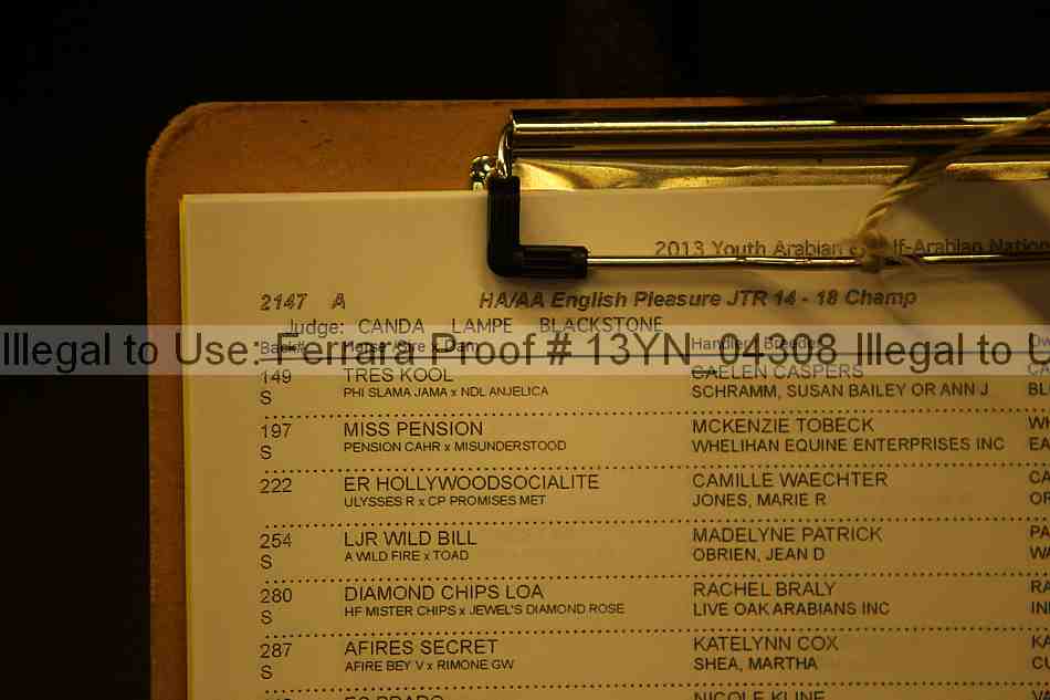 Proof 13yn_04308