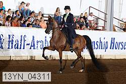 13yn_04311 proof
