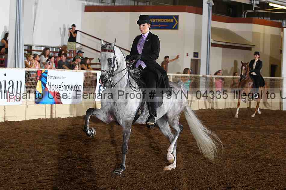 Proof 13yn_04335