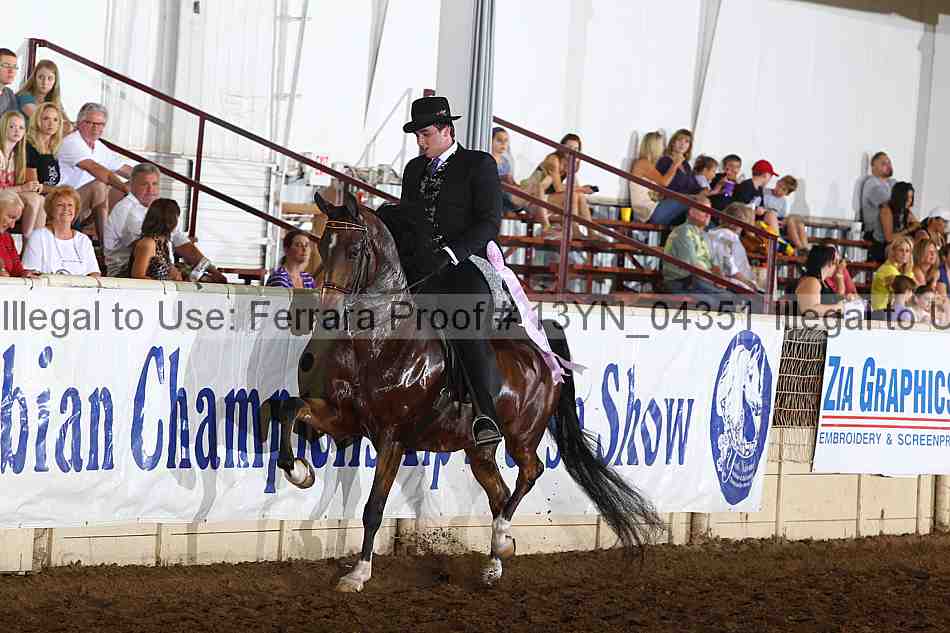 Proof 13yn_04351