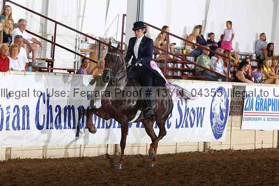 Proof 13yn_04355