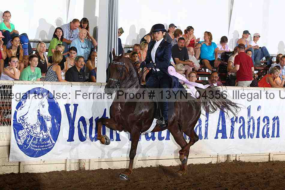 Proof 13yn_04356