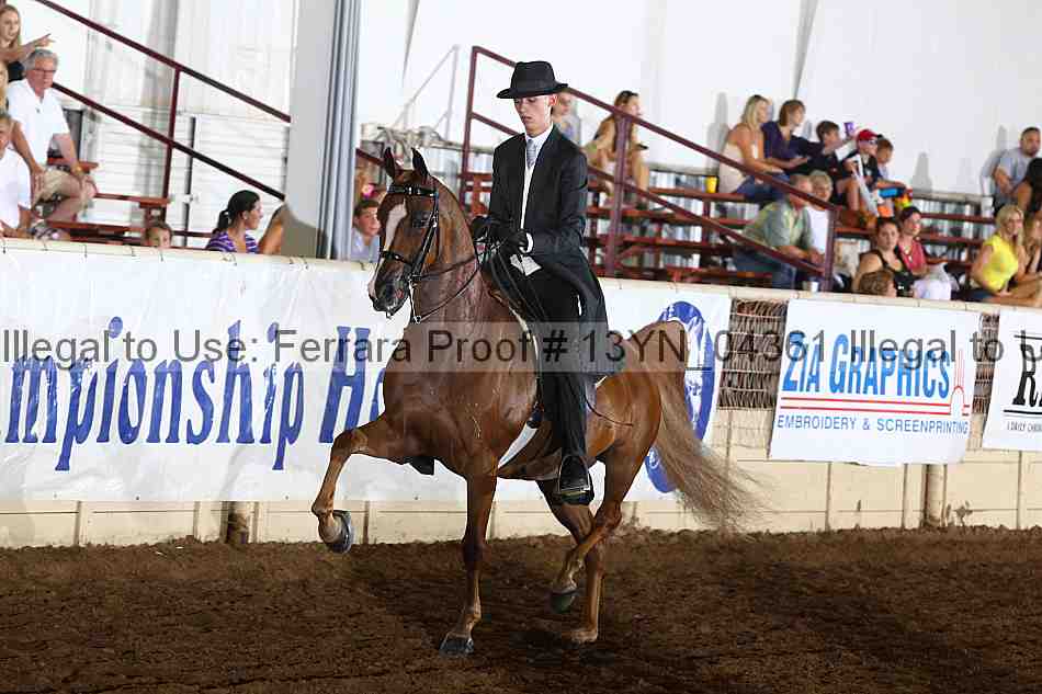 Proof 13yn_04361
