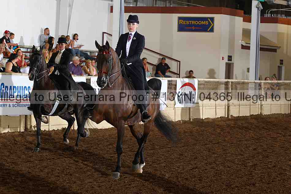 Proof 13yn_04365