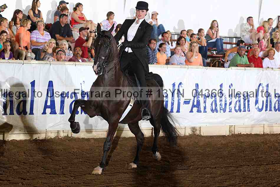Proof 13yn_04366