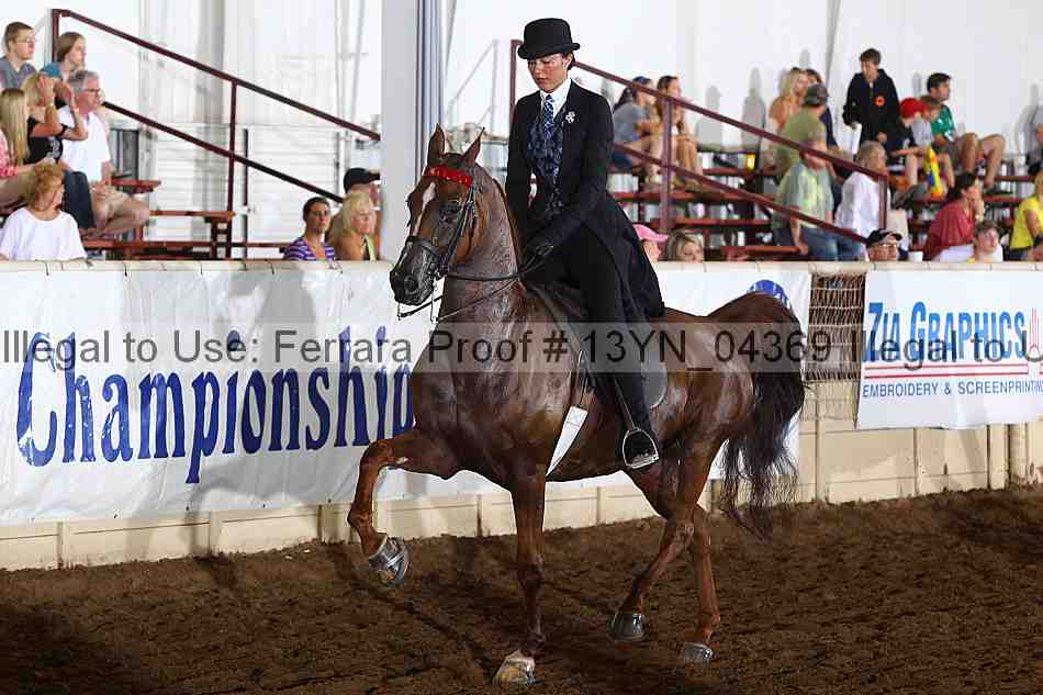 Proof 13yn_04369