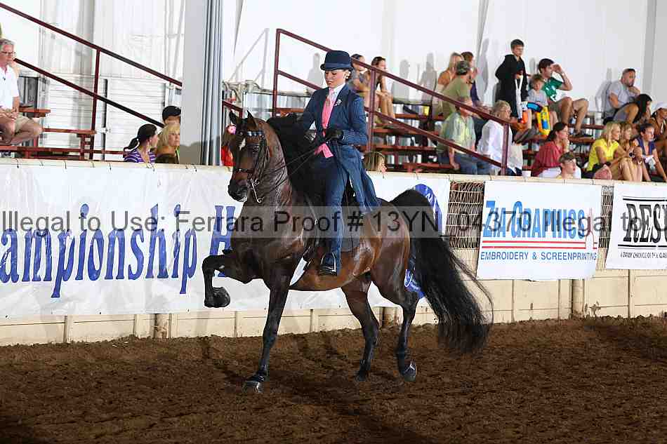 Proof 13yn_04370