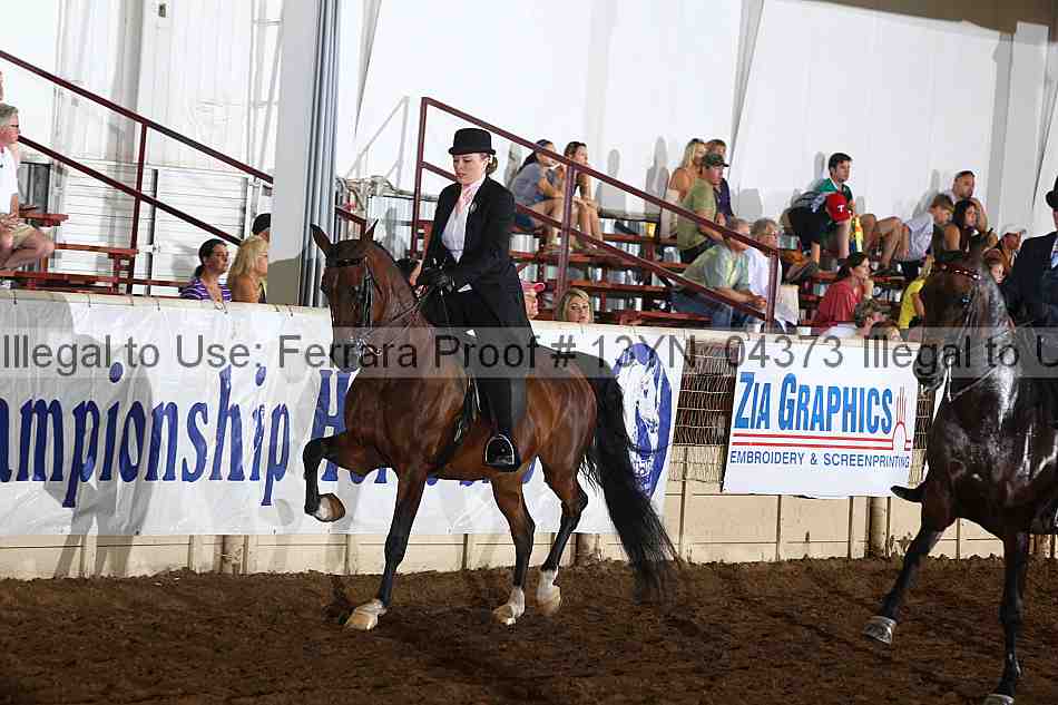 Proof 13yn_04373