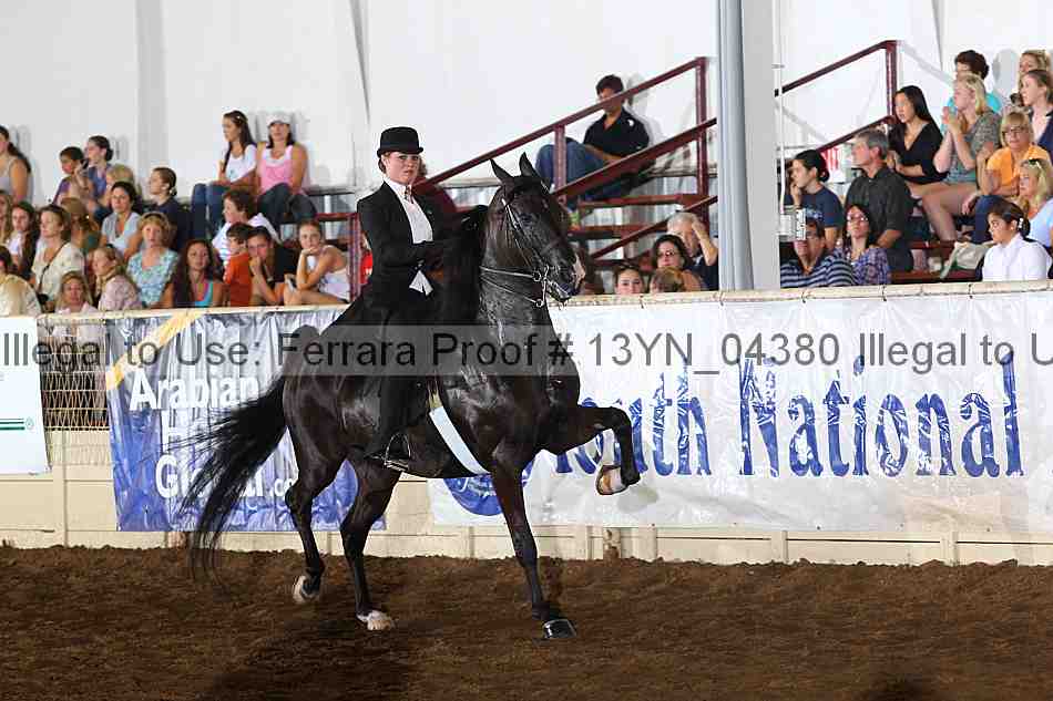 Proof 13yn_04380