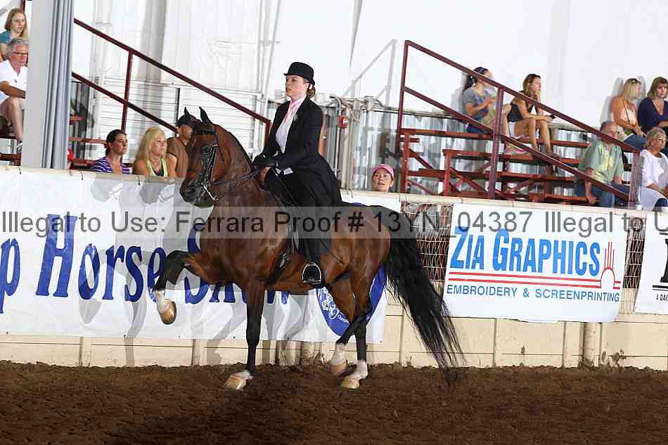 Proof 13yn_04387