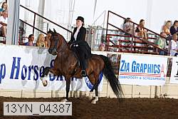 13yn_04387 proof