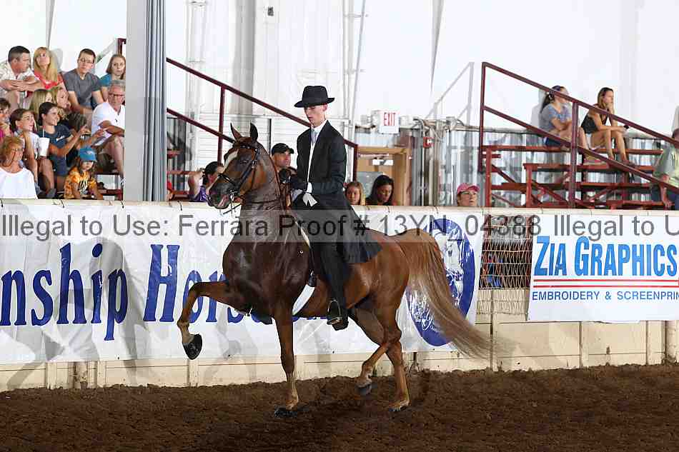 Proof 13yn_04388