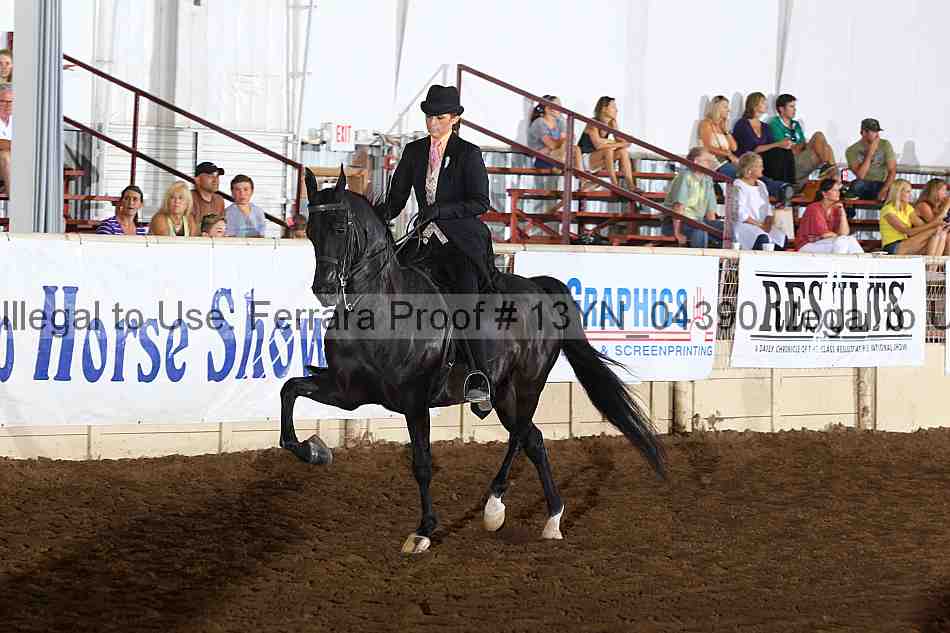 Proof 13yn_04390