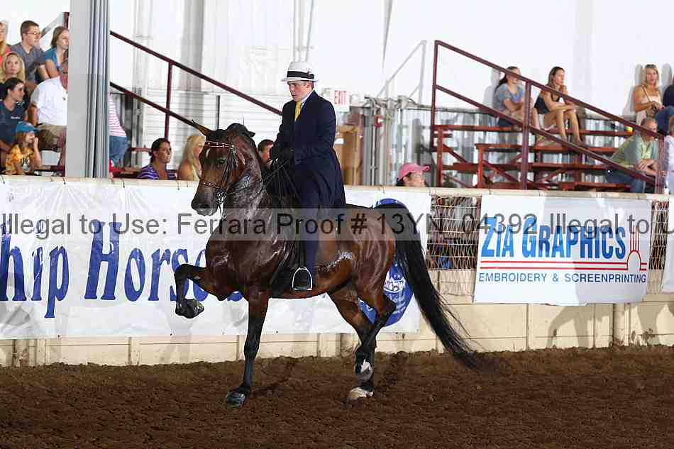 Proof 13yn_04392