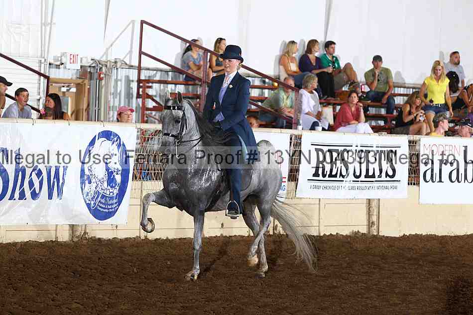 Proof 13yn_04393