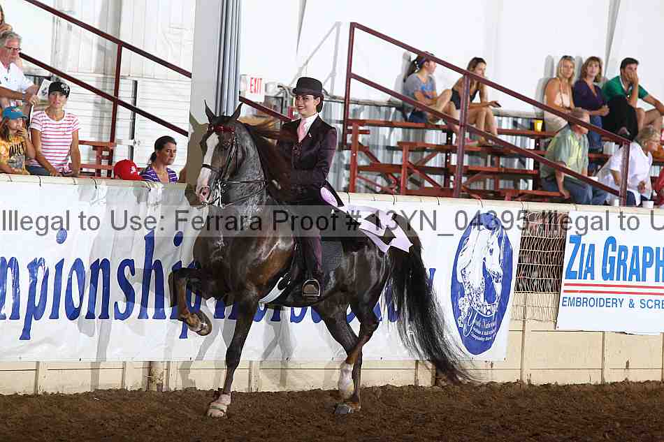 Proof 13yn_04395