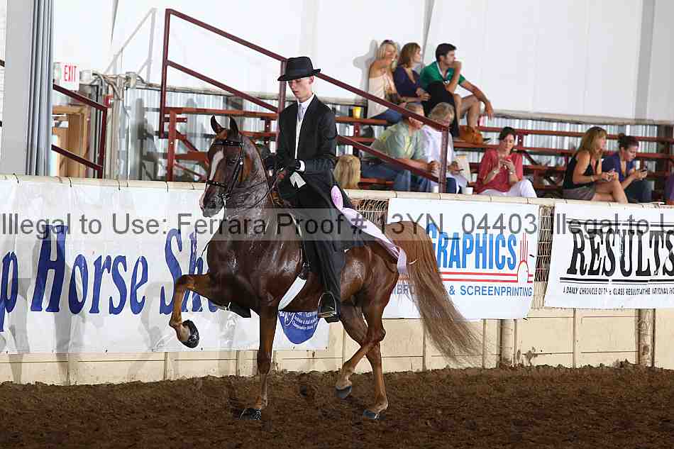 Proof 13yn_04403