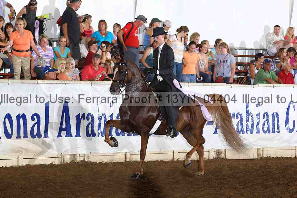 Proof 13yn_04404