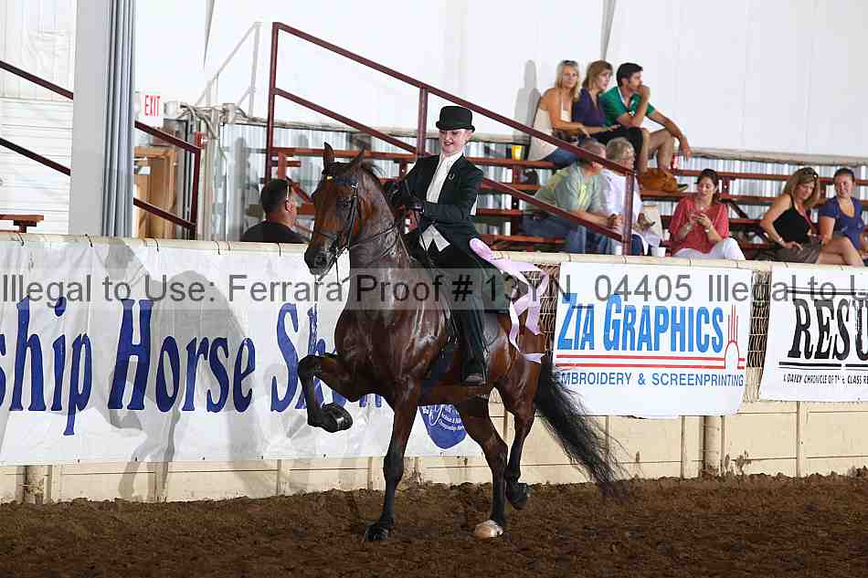 Proof 13yn_04405