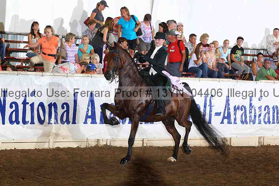 Proof 13yn_04406
