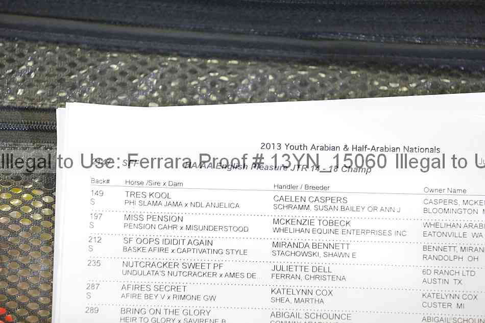 Proof 13yn_15060