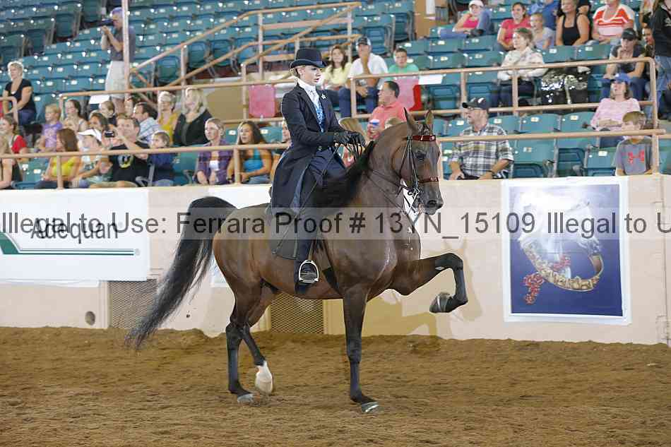 Proof 13yn_15109