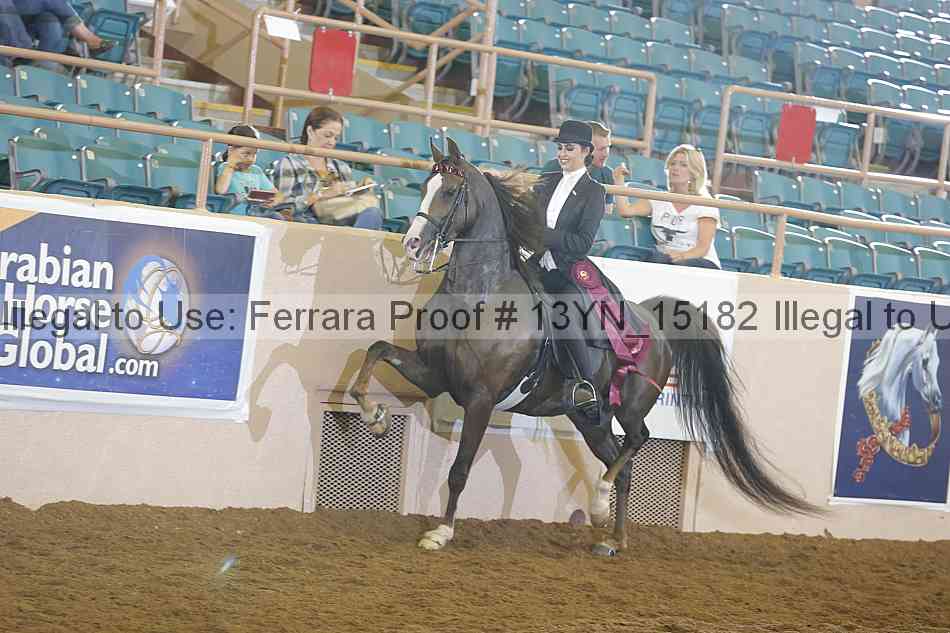 Proof 13yn_15182