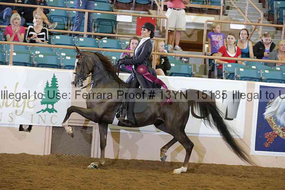 Proof 13yn_15185