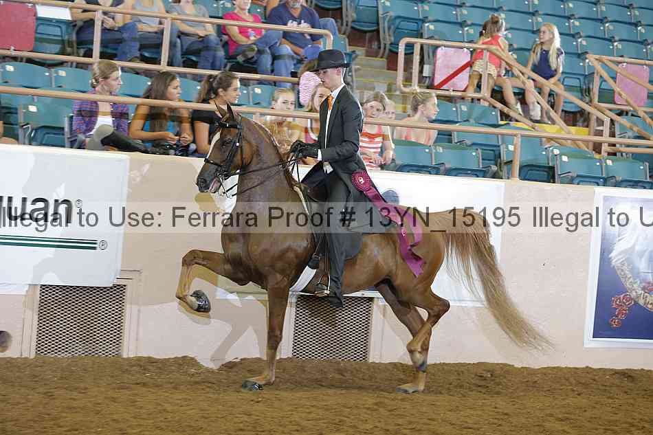 Proof 13yn_15195