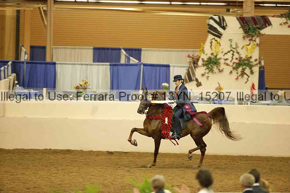 Proof 13yn_15207