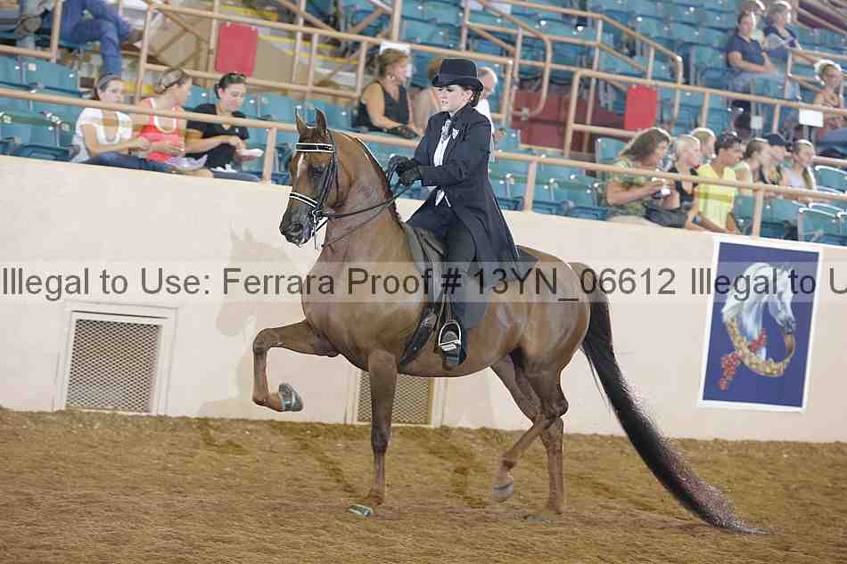 Proof 13yn_06612