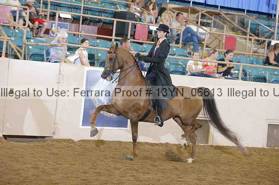 Proof 13yn_06613