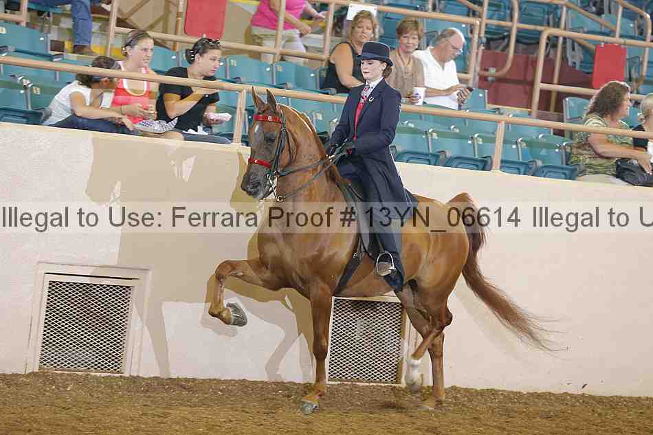 Proof 13yn_06614