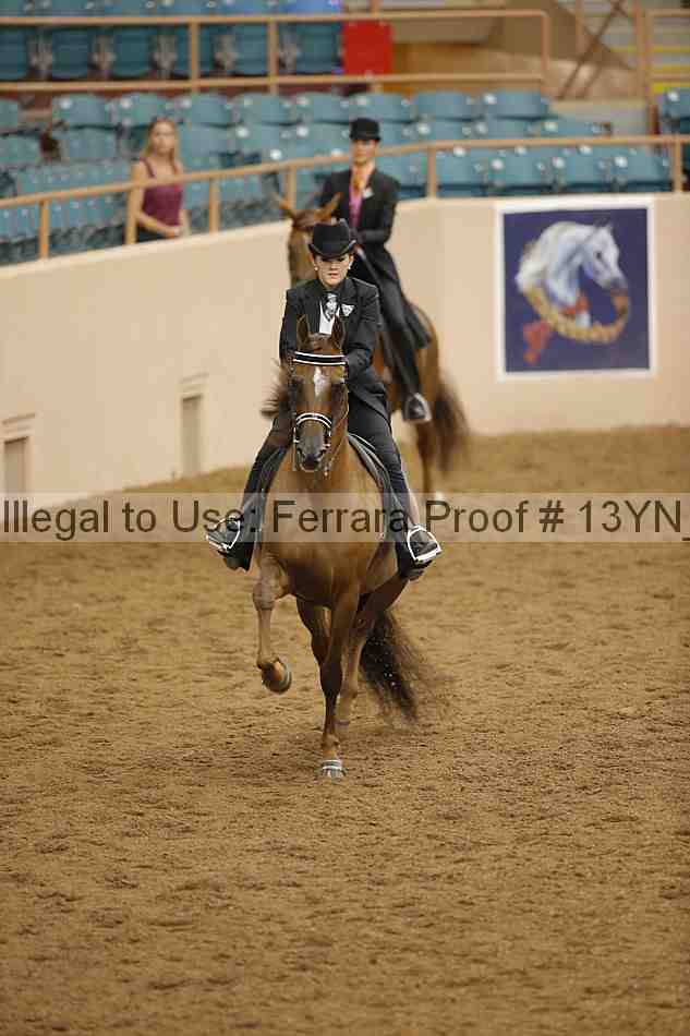 Proof 13yn_06615