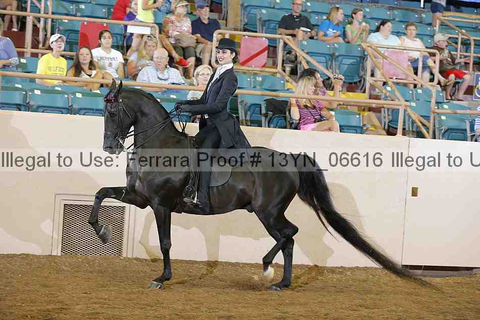Proof 13yn_06616