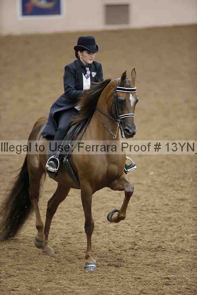 Proof 13yn_06617