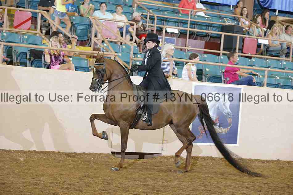 Proof 13yn_06618