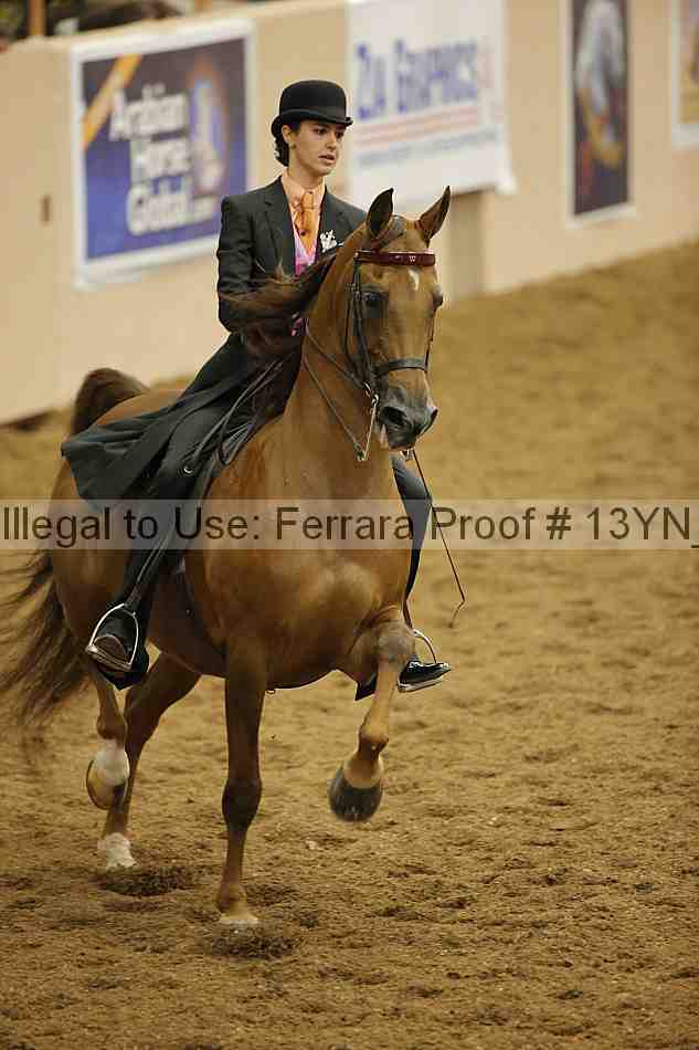 Proof 13yn_06619