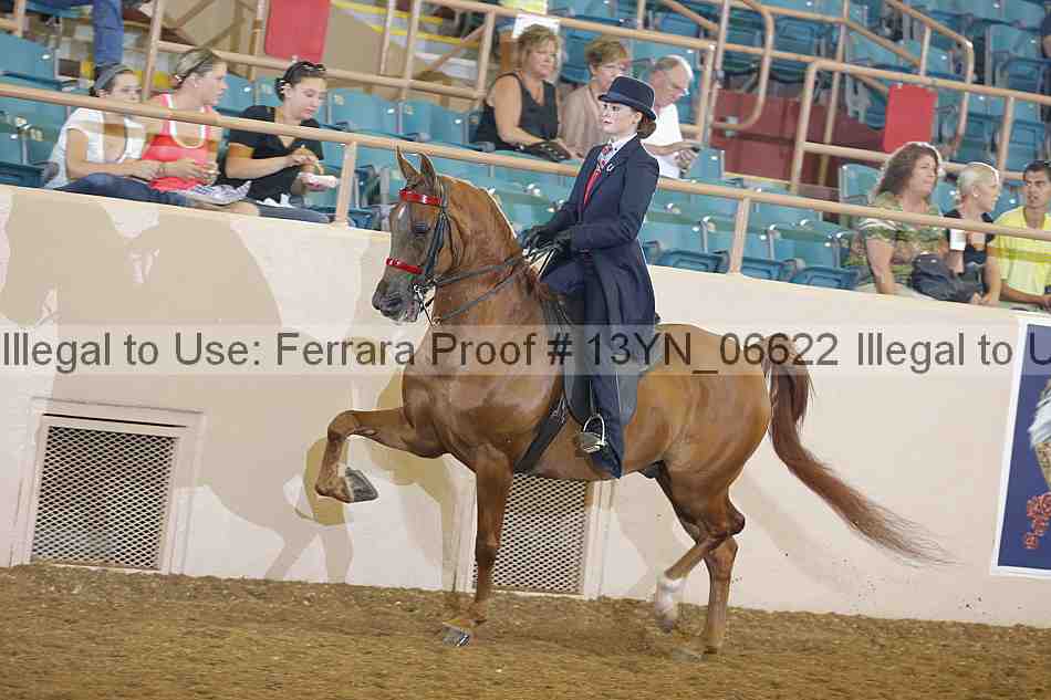 Proof 13yn_06622