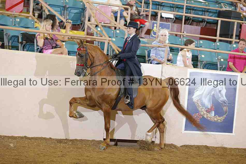 Proof 13yn_06624