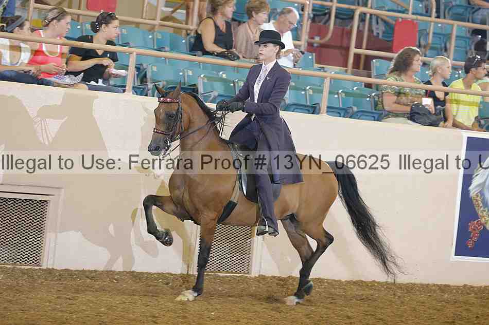 Proof 13yn_06625