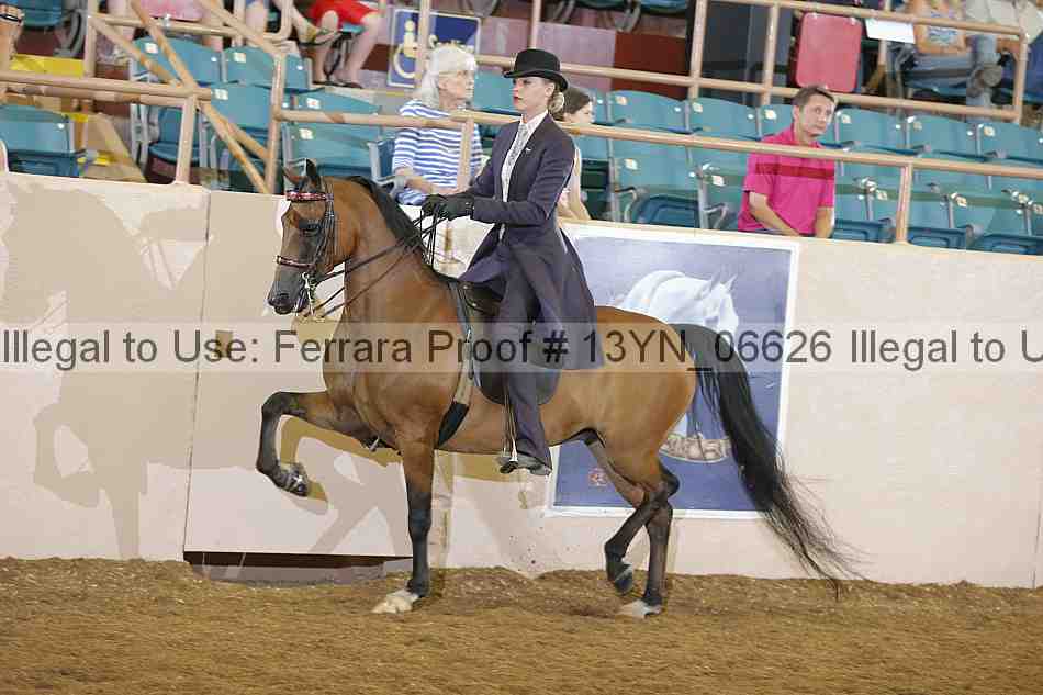 Proof 13yn_06626