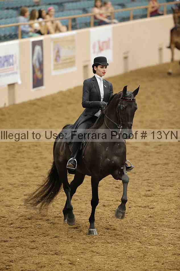 Proof 13yn_06627