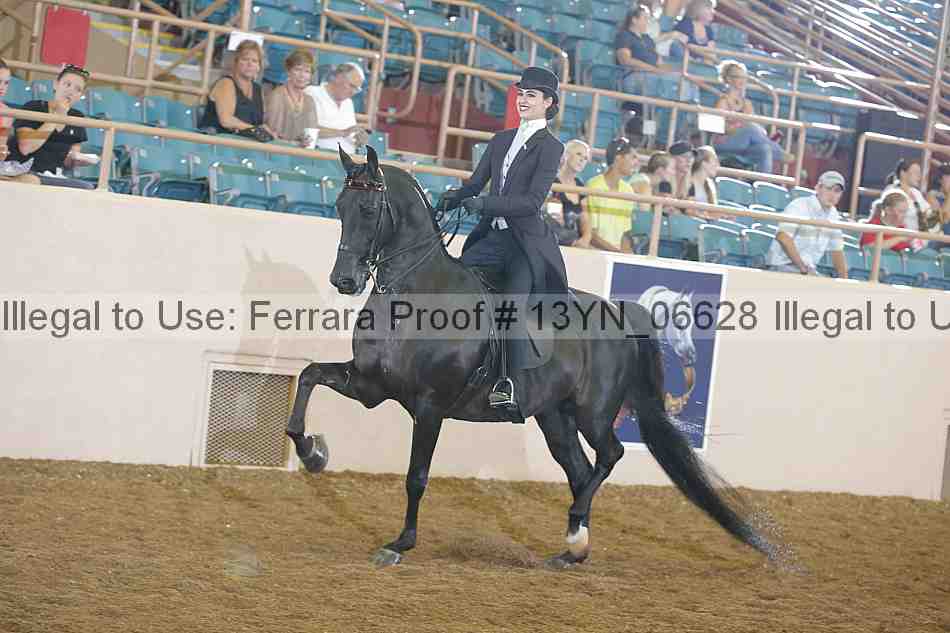 Proof 13yn_06628
