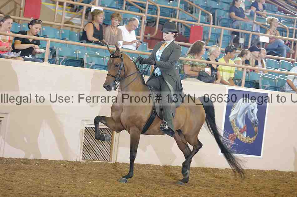 Proof 13yn_06630