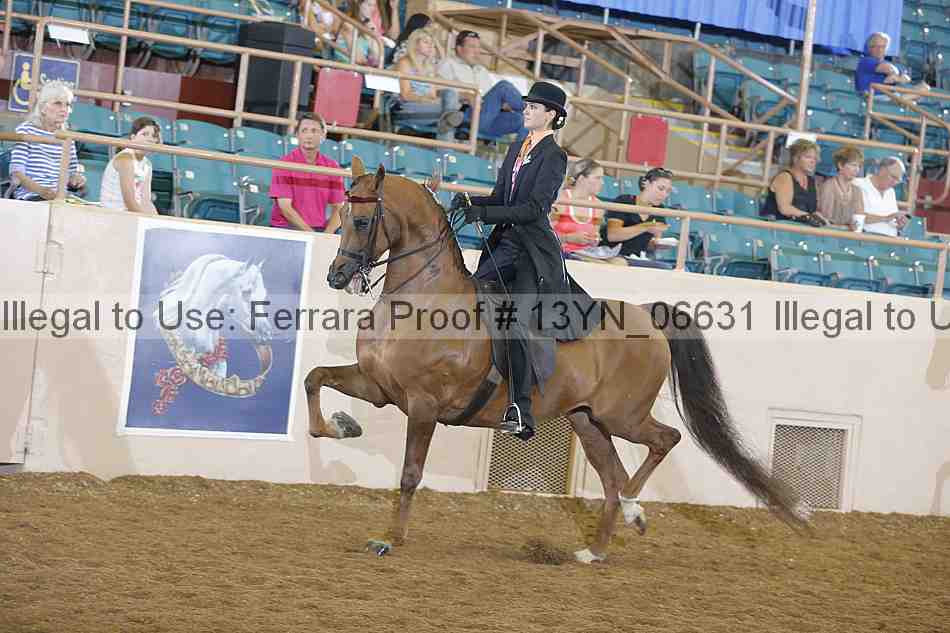 Proof 13yn_06631